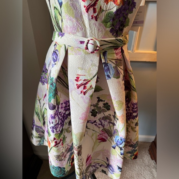 NWT Women’s Danny and Nicole A-Line Floral Sleeveless Dress w/ Pockets size 6 - Picture 3 of 13